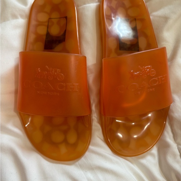Coach Shoes - Coach Translucent Amber Slide Sandals